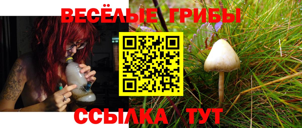 Псилоцибиновые грибы MAGIC MUSHROOMS Сосновоборск