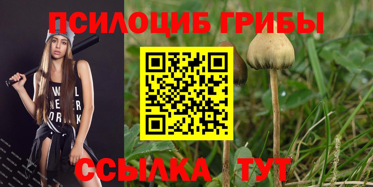 Сосновоборск  Галлюциногенные грибы MAGIC MUSHROOMS  Псилоцибиновые грибы прущие грибы  Вход с VPN 